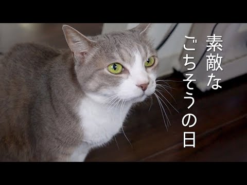 素敵なごちそうの日 | ちゅ〜るタワー | #モアクリ Vlog056