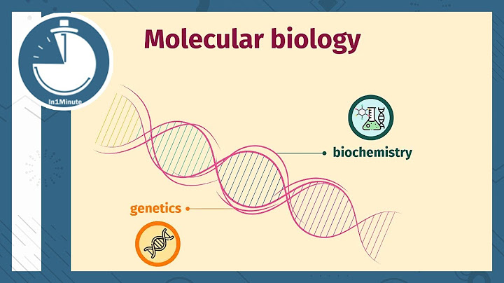 البيولوجيا الجزيئية || Molecular biology