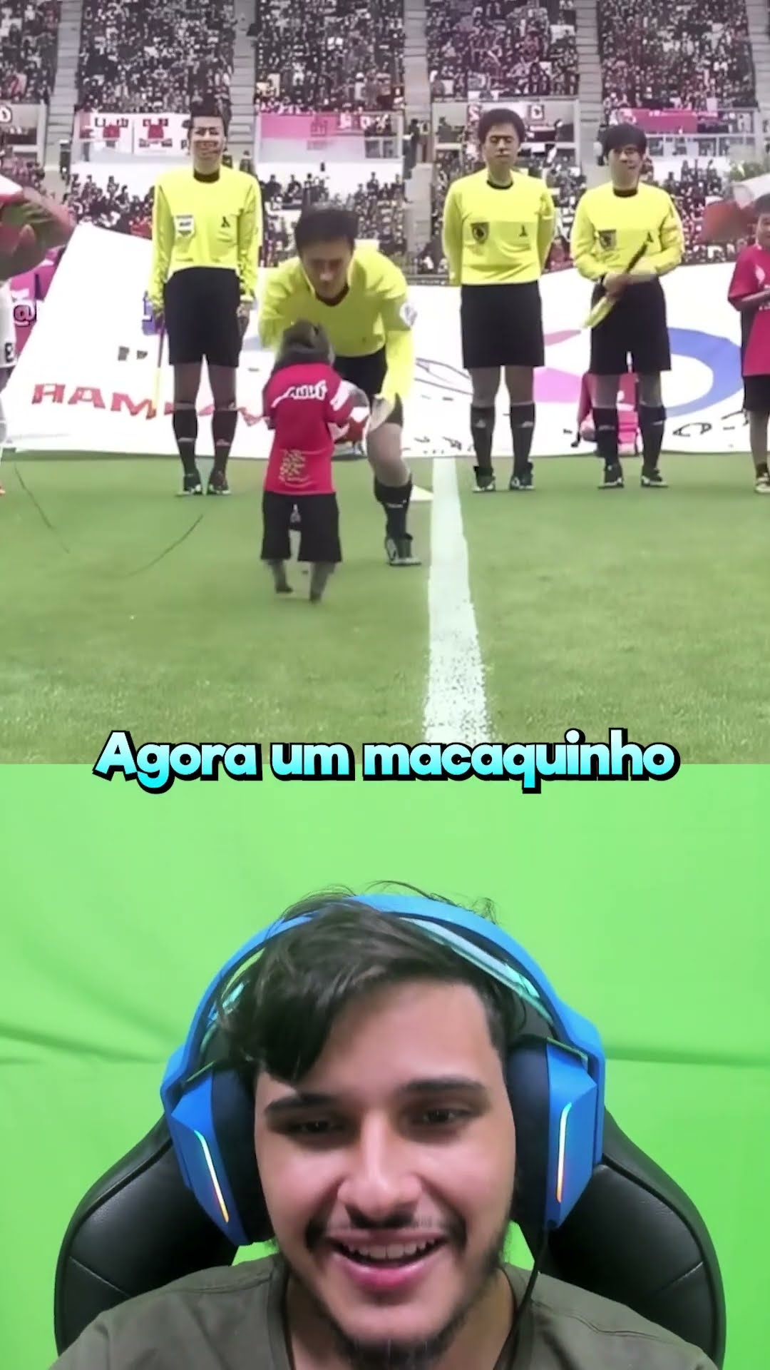Animais no Fut