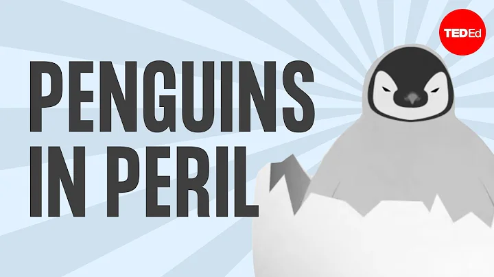 The popularity, plight and poop of penguins - Dyan deNapoli - DayDayNews