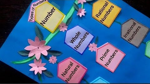 Number System Maths Project | Number system TLM | Types of numbers #typesofnumbers #numbersystem