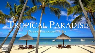 Tropical Paradise 4K Relaxation Video | Escape to Paradise With Tropical Beaches Drone Footage in 4K
