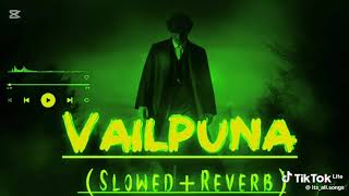 Vailpuna Slowed Reverb
