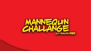 Download Lagu MANNEQUIN CHALLANGE MP3
