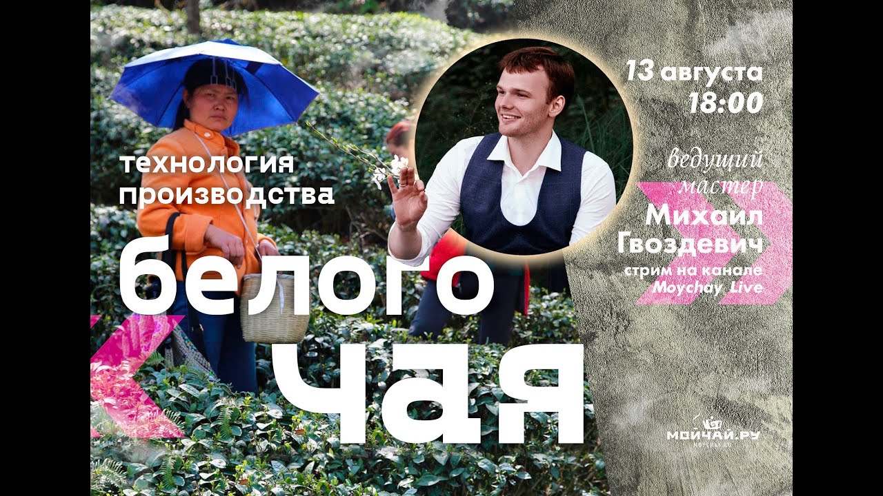Технология производства белого чая. - YouTube