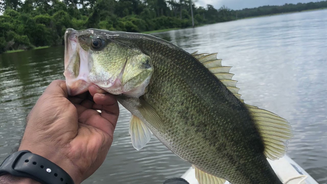 Beautiful Day for Kayak Fishing Gibbons Creek Reservoir | NEW LAKE