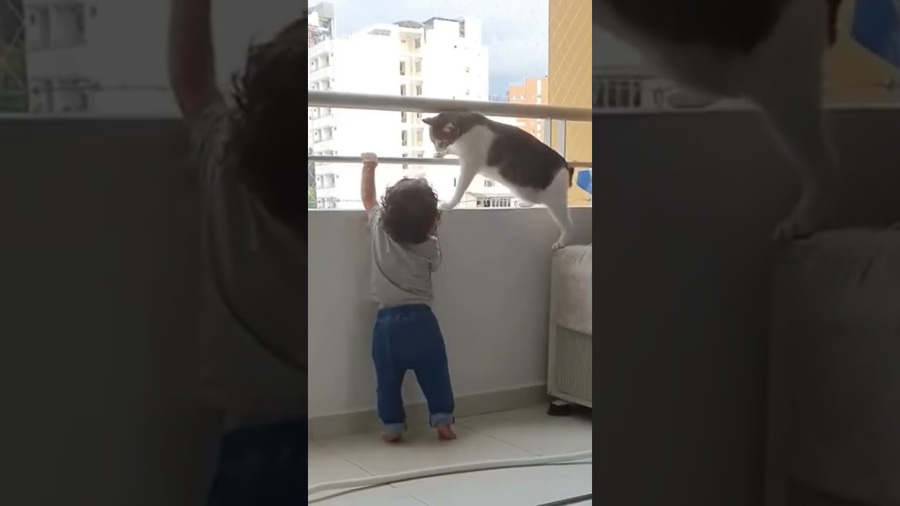 Cat Mom, very caring cat Cat Mom, very caring cat