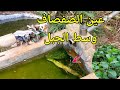 عين الصفصاف بني يحييون قبيلة بني منقوش وسط جبال هدوء والراحة النفسية 