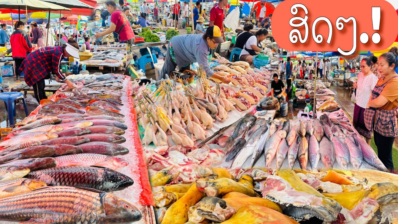 ຕະຫລາດສົດຕອນເຊົ້າວັນເສົາໃນວຽງຈັນ/ตลาดสดตอนเช้าวันเสาร์ในเวียงจันทน์/Fresh morning market Vientiane