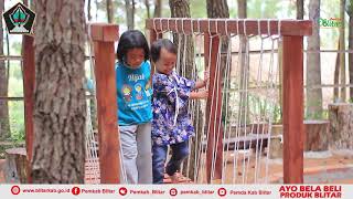 Hutan Pinus Gogoniti Blitar