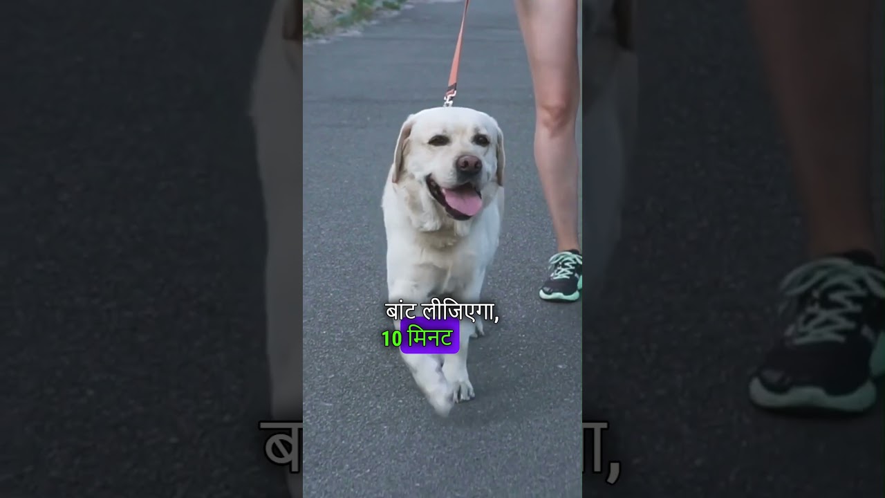 क्या रोज 30 मिनट की वॉक से शुगर कंट्रोल होती है?