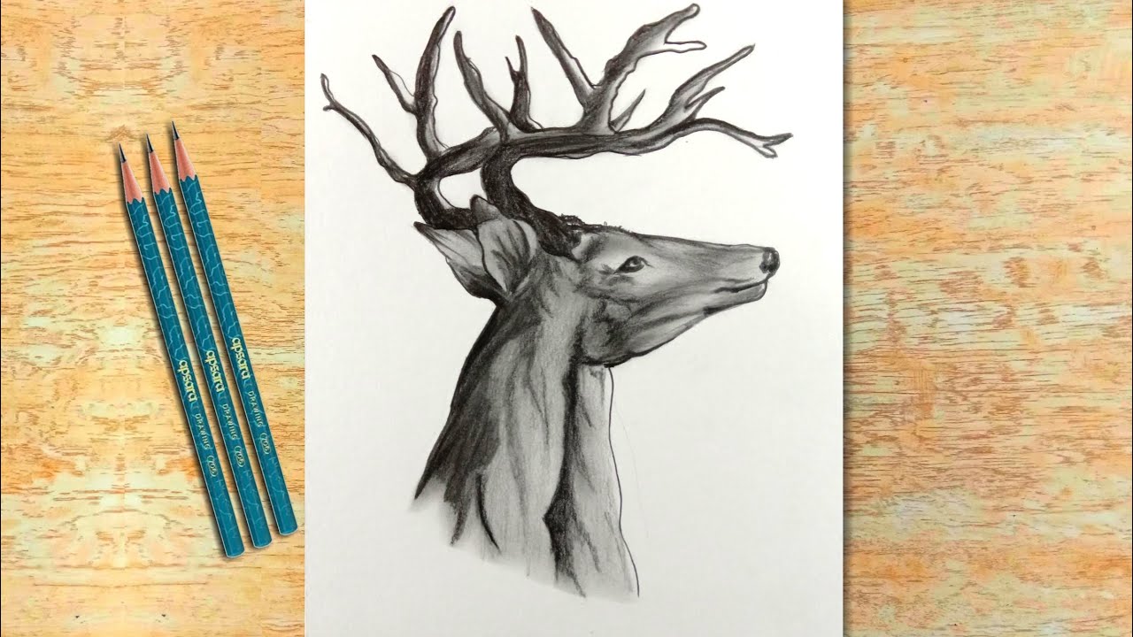 Best pencils for drawing and sketching | Creative Art Courses