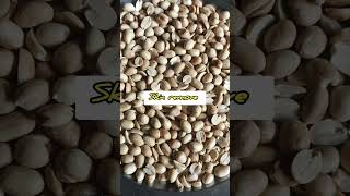 short yummy Crushed Peanuts Chikki Recipe ??shortsshortsyoutube trendingvideoviralvideofoodie