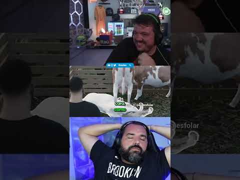 GAULES FAZENDO BT PEGAR MUITO AR!!