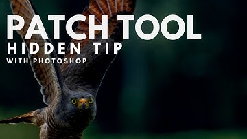 The Hidden Trick to Photoshop