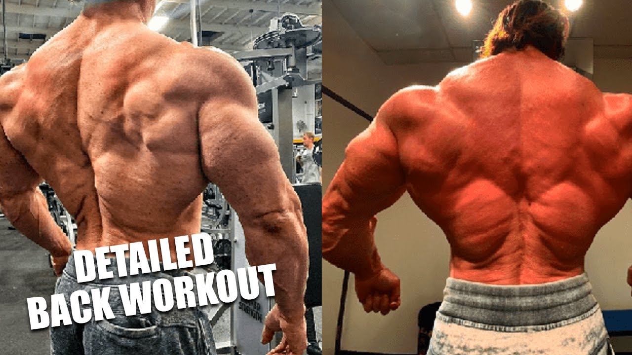 Detailed Back Workout For A Defined Back - YouTube