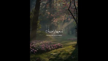 وُجُوهٌۭ يَوْمَئِذٍۢ نَّاعِمَةٌۭ | القارئ عبدالرحمن مسعد