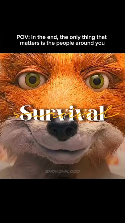 It’s the little moments that count | Fantastic Mr. Fox edit