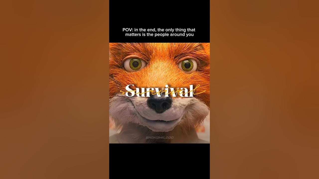 It’s the little moments that count | Fantastic Mr. Fox edit It’s the little moments that count | Fantastic Mr. Fox edit