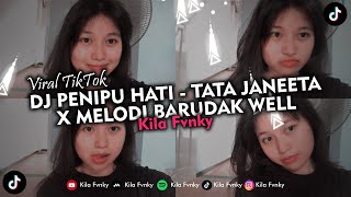 DJ PENIPU HATI - TATA JANEETA X MELODI BARUDAK WELL V2  VIRAL TIKTOK 2024