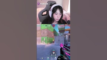 WHAT IS THIS NEW BUG