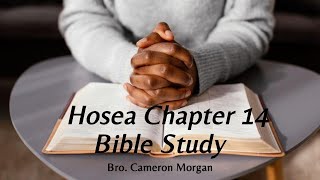 Hosea Chapter 14 Explained | Return, Restoration & God’s Healing Love