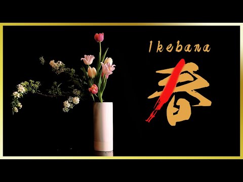 Ikebana Lesson | Tulip | Nageire-style Arrangement Using the Tulip