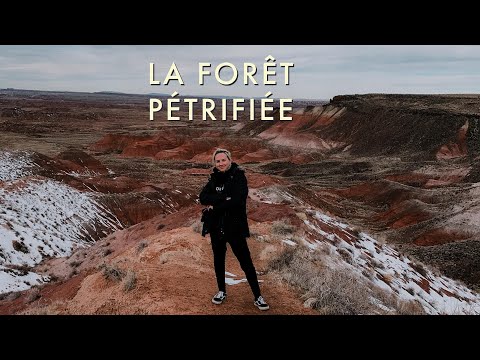 Vidéo: Parc national de la forêt pétrifiée : le guide complet