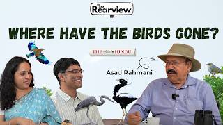 Download Lagu The Rearview Podcast | Where have the birds gone? with Asad Rahmani Download Lagu The Rearview Podcast | Where have the birds gone? with Asad Rahmani