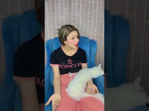 الخطار راح يجي زين الكنتور شعليه