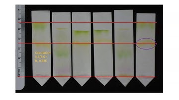 Calculating retention factors 