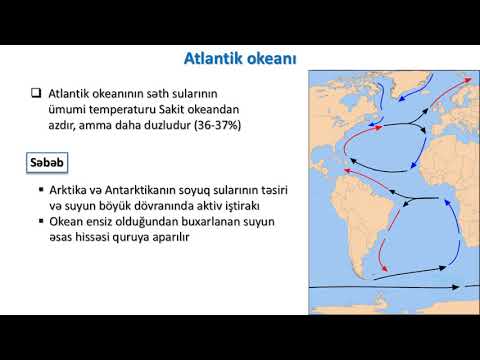 Video: Adriatik Qirg'og'i