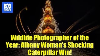 Wildlife Photographer of the Year: Albany Woman's Shocking Caterpillar Win!