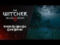 The witcher 3 extended ost  where no man has gone before