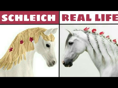 schleich horses in real life