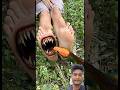 Bushcraft Skills #bushcraft #survival #camping #outdoors #forest #shorts