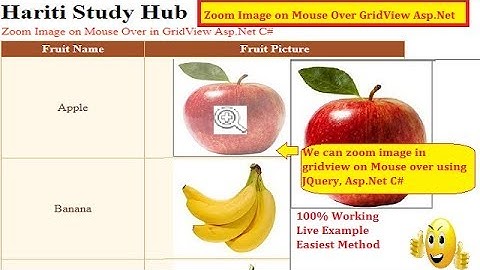 Zoom Image on Mouse Over in Grid View Control Using Asp.Net C# Jquery | Hindi | Free Online Classes