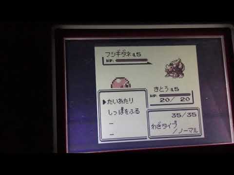 ポケモン赤緑 殿堂入り失敗