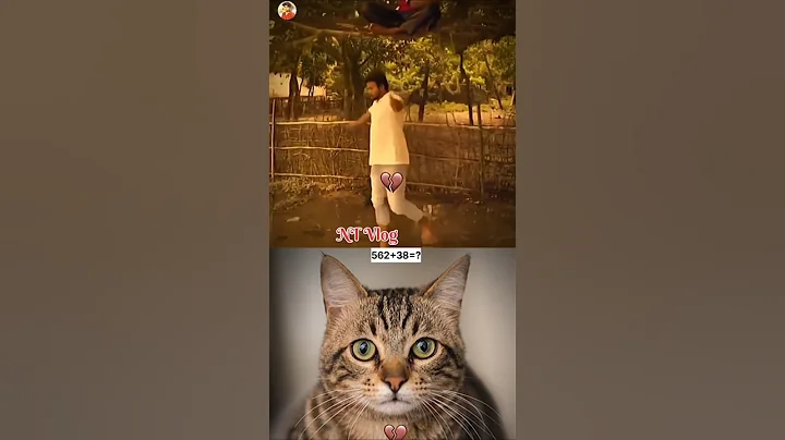 Wait for the 🤓cat#meme#funny"#trading #viralcat