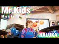 HALUKA - Mr.Kids【Official Video】