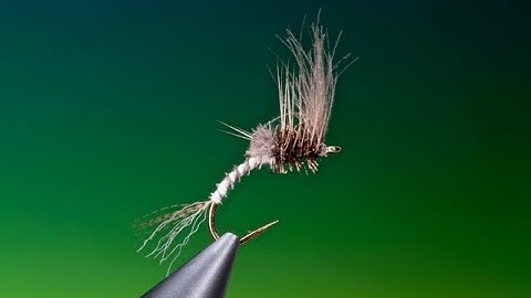 Fly tying a generic cripple mayfly with Barry Ord Clarke
