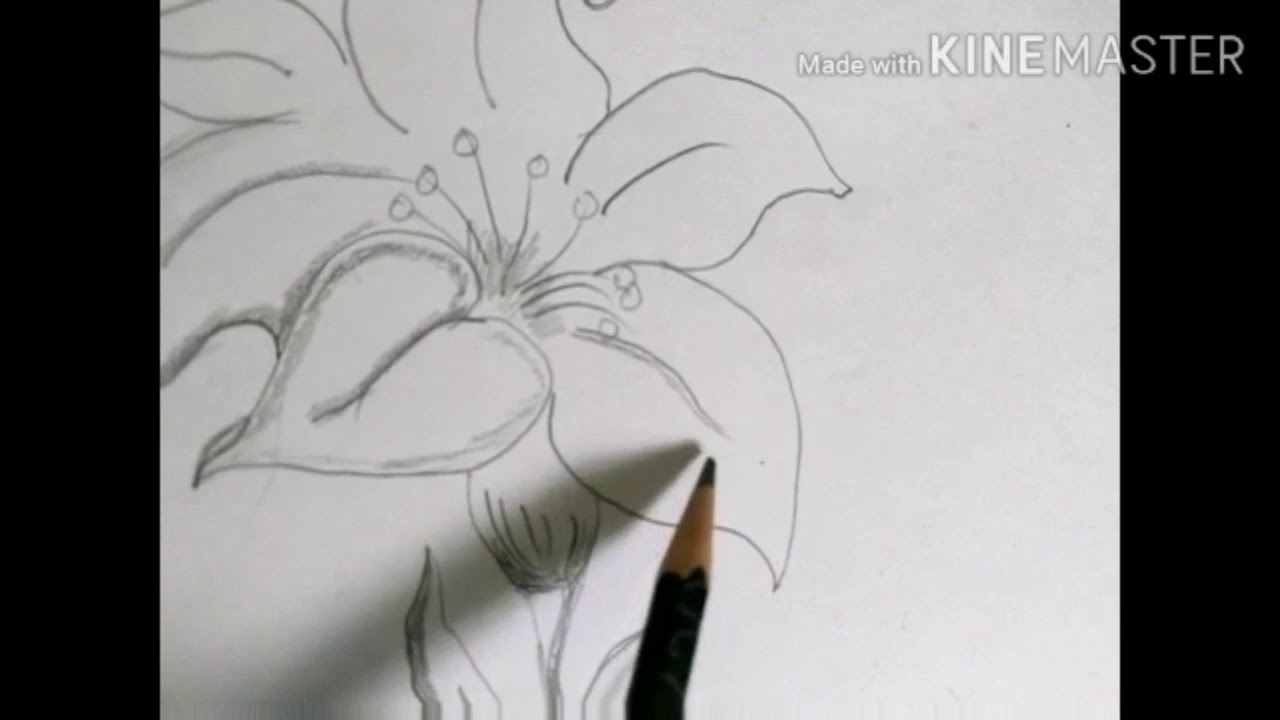 easy pencil drawings for beginners - YouTube