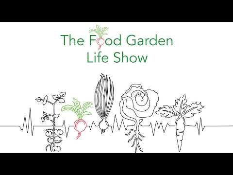 Vídeo: Kid's Garden From Scraps: Jardinagem com coisas da sua cozinha