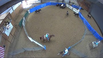 Big Sky Ranch Sorting Saddle Series #4 - #9 HC SORT - Round #1 - Ride #11