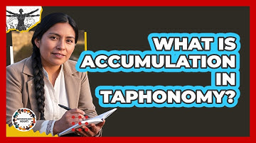 What Is Accumulation In Taphonomy? - Anthropology Insights