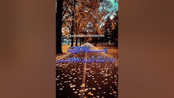 سعدون حمادي سورة القصص