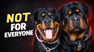 Don’t Get a Rottweiler Until You Watch This
