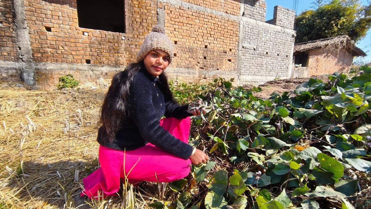 Aaj Maine semi todhi bhot sari 😃