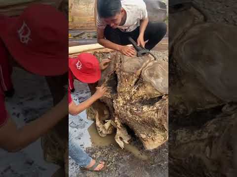 Video Siêu phẩm gốc cây cực dị | Sơn Sập Gỗ #shorts - youtube