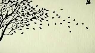 Vaççap Status Vidyo Mahnili